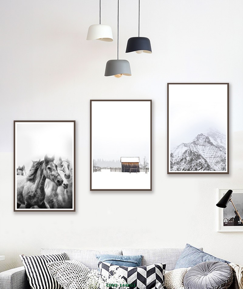 Động vật CDV3-144KG1